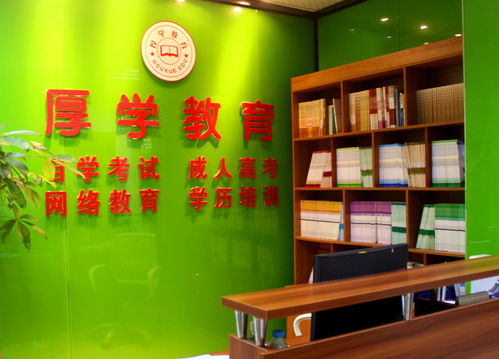 廈門(mén)厚學(xué)教育 引領(lǐng)藝術(shù)夢(mèng)想，專(zhuān)業(yè)繪畫(huà)培訓(xùn)賦能未來(lái)